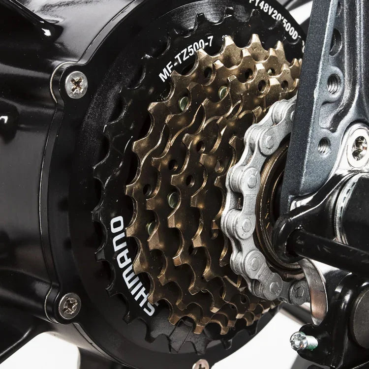 Für SAMEBIKE XWLX09 750W Elektro-Mountainbike, 20-Zoll-Reifen, Höchstgeschwindigkeit 32 km/h, Tragfähigkeit 150 kg