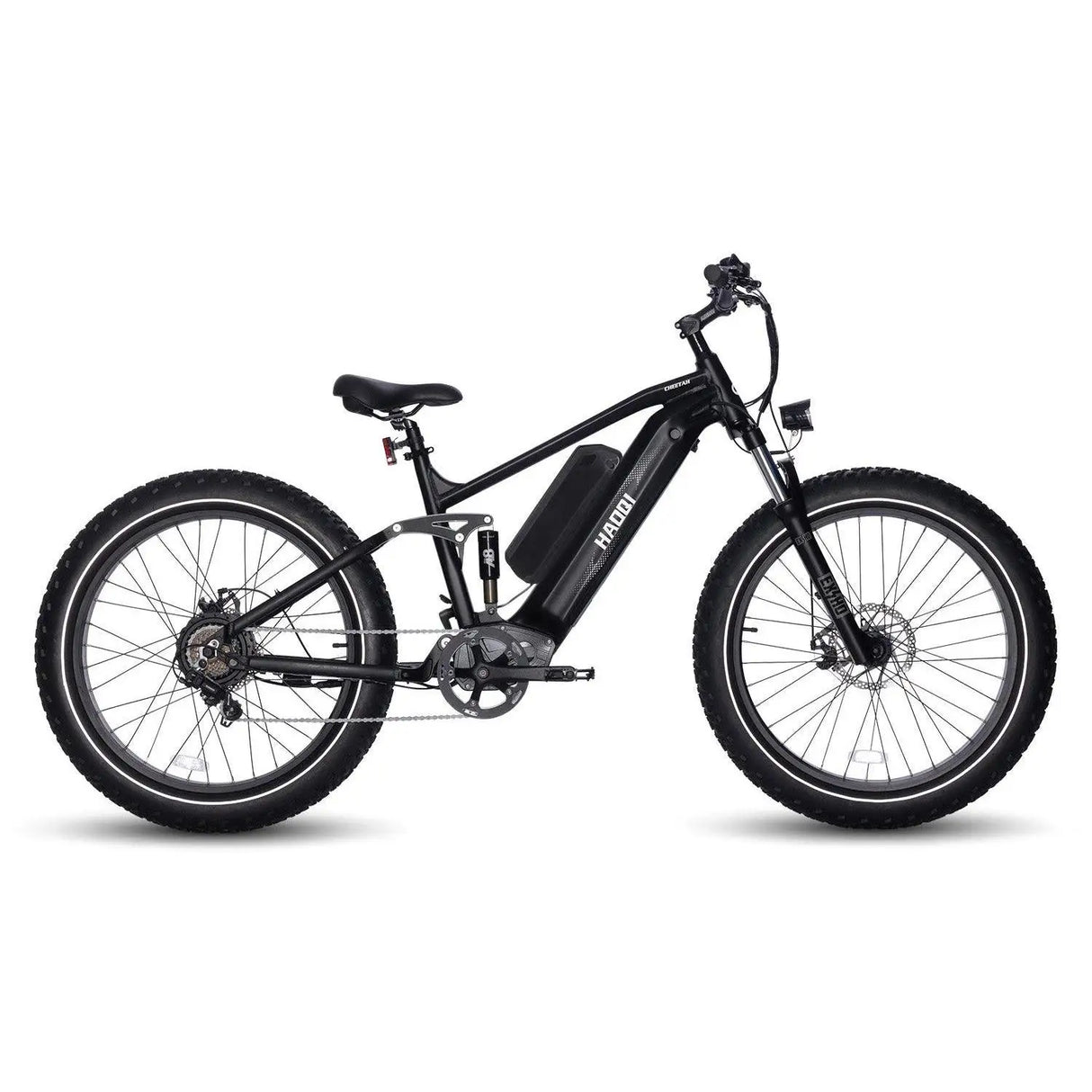HAOQI Cheetah Dual Battery Electric Bike