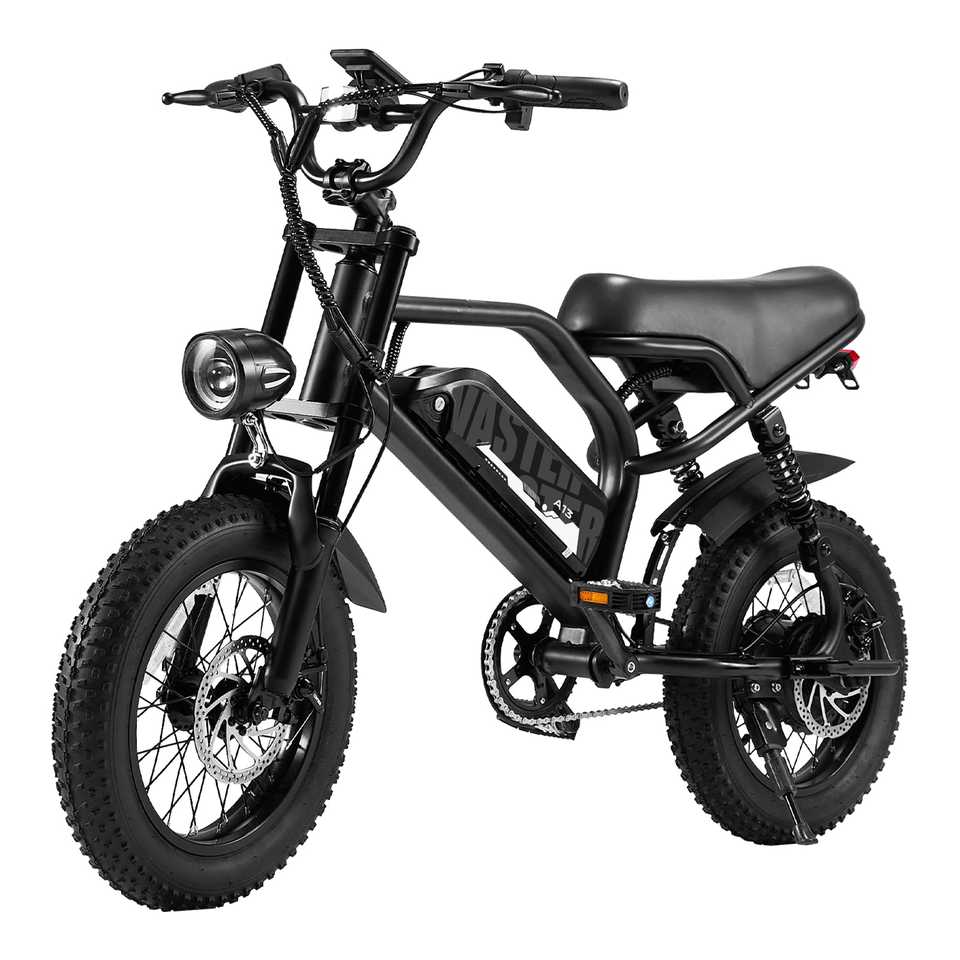 AVDL BIKE A13 Adult Electric Mountain Bike with Removable 800W for Motor 16-inch Thick Tire Wide Seat Front Fork