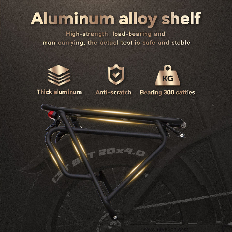 DrVetion CT20 Electric Folding Bike 10AH/15AH/20AH 48V 750W up to 45km/h Speed