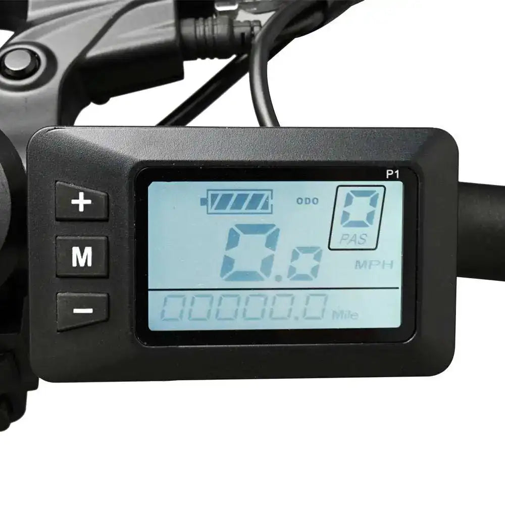 BAOLUJIE DZ2002 20-Fold City Electric Bike with 500W Motor 48V 13Ah Lithium Battery Fat Tire Electric Bike with Rear Hub Motor