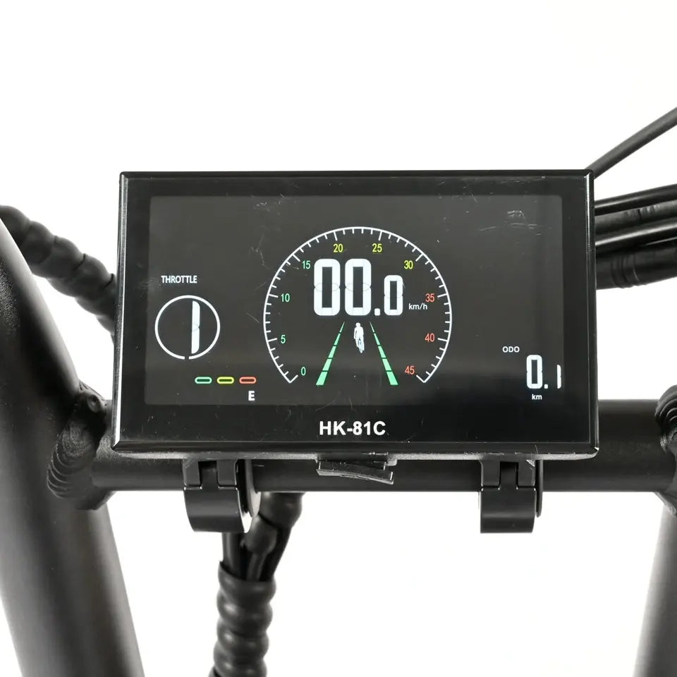 BAOLUJIE DP2033 Electric Mountain Bike 48V 30AH Battery 1000W Motor 20inch Tires 90-100KM Max Mileage 120KG Max Load