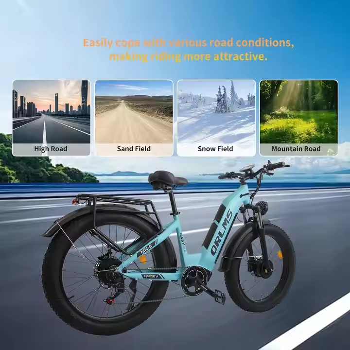 (EU Stock) SMLRO-ORLMS MN-6 Dual Motors Electric Bike