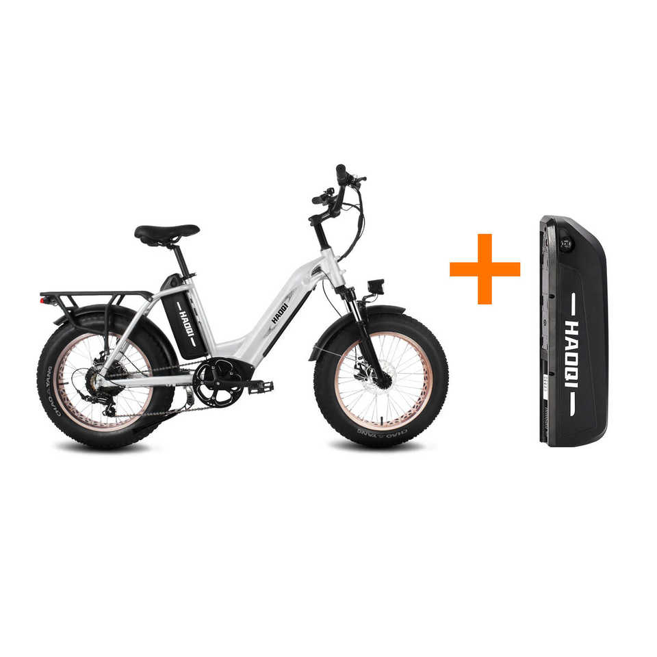 HAOQI Antelope Pro 750W Bafang Motor 16Ah+9Ah Battery 400 Lbs Payload Cargo Electric Bike