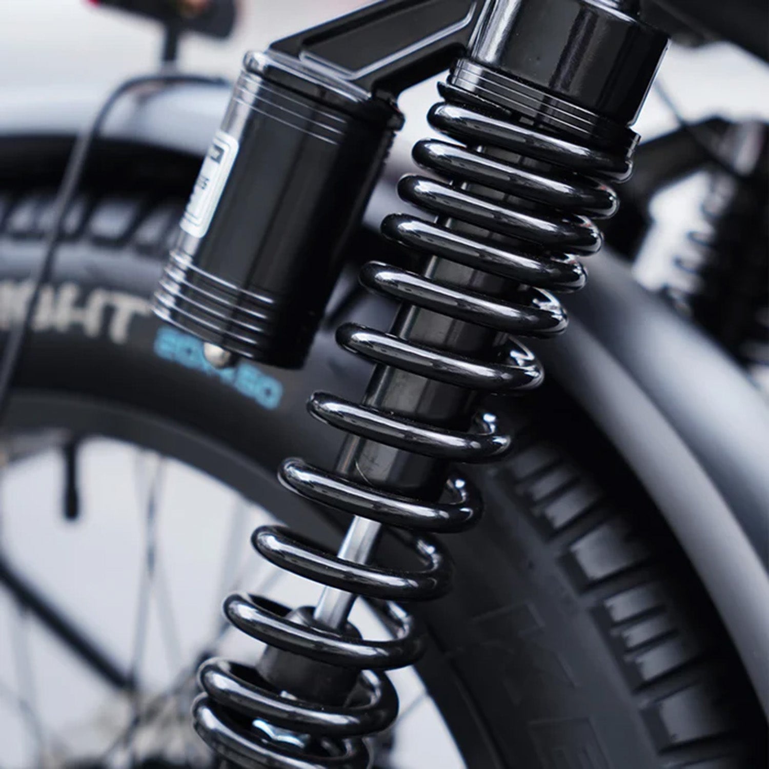 MANGOSTEEN FT02 EEC | Chopper Bike