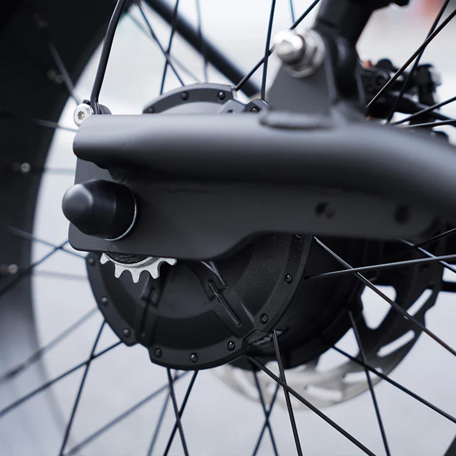 MANGOSTEEN FT02 EEC | Chopper Bike