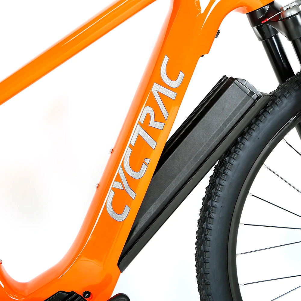 Cheap Price 13A 250W 10 Speed Carbon Bicycle Electric Bike Mountain