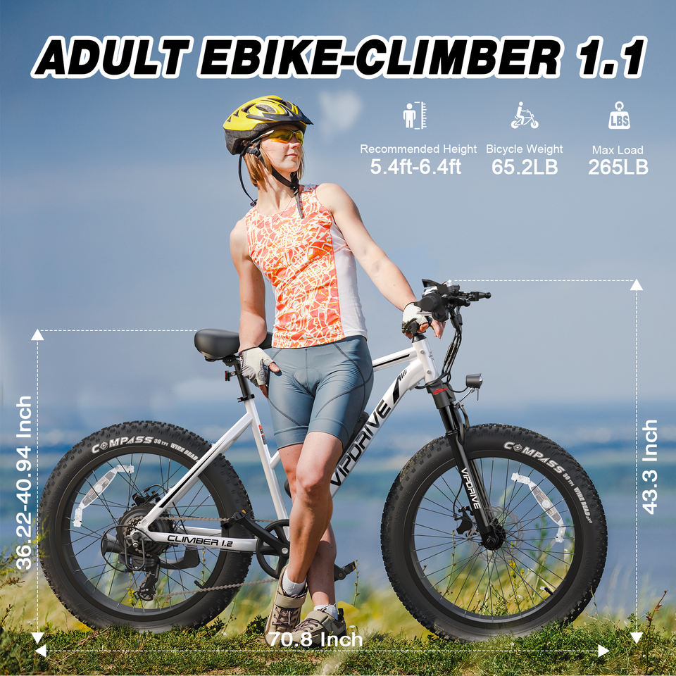 USA Stock 48V 13AH 500W 750W Fat Tire Mountain Ebike Multi Mode LCD Display Lights Led Sport Ebike for Sale