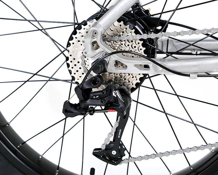 CYCTRAC EFAT500 Hub Rear Motor Drive Ebike Aluminium Electric Bike MTB Fat Tire Bicycle 26 Inch Mountain Bikes