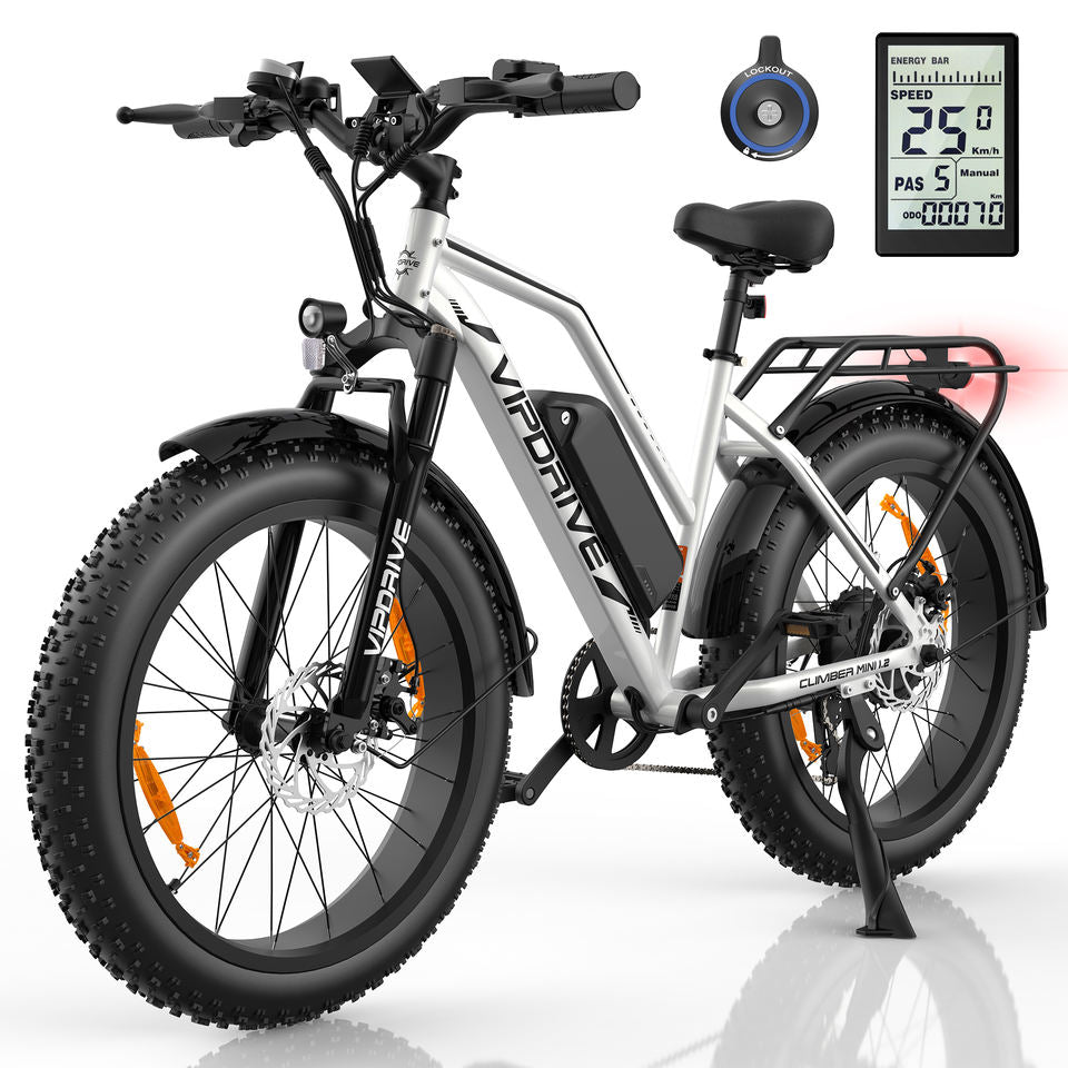EU 500W 750W 45KPH Fast Electric Mountain Bike 24*4" Fat Tyre 48V 13AH Long Rang MTB EU Warehouse Females Step-Thru Ebike