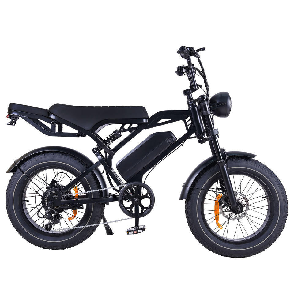MOQ 200PCS China Factory OEM Customized Electric Mountain Bike 20*4.0 Fat Tires 250W Motor 48V 15.6Ah Battery Dual Seat 45km/h