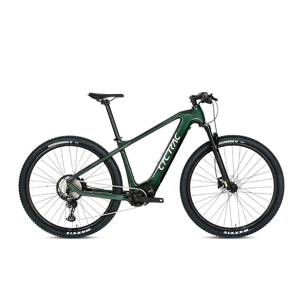 Cheap Price 13A 250W 10 Speed Carbon Bicycle Electric Bike Mountain