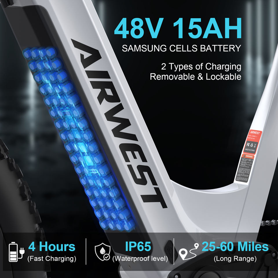 EU Warehouse Stock 750W BAFANG Brushless Motor Low Step Women Electric Snow Beach Mountain Bike 15AH 48V Integrated Adults Ebike