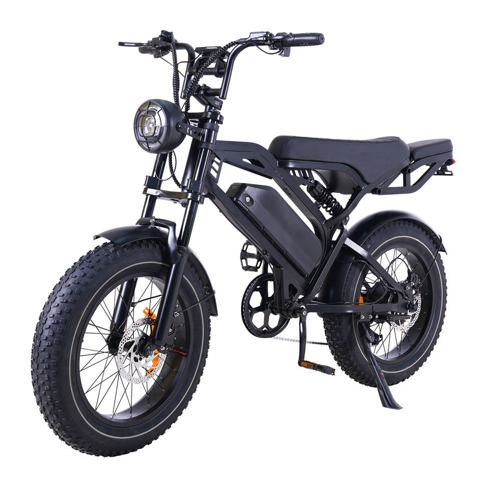 MOQ 200PCS China Factory OEM Customized Electric Mountain Bike 20*4.0 Fat Tires 250W Motor 48V 15.6Ah Battery Dual Seat 45km/h