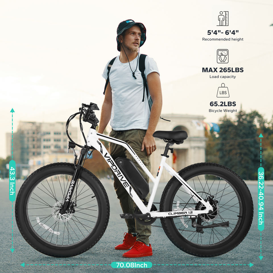 USA Stock 48V 13AH 500W Fat Tire Mountain Ebike Multi Mode LCD Display Sport Ebike Step Thru