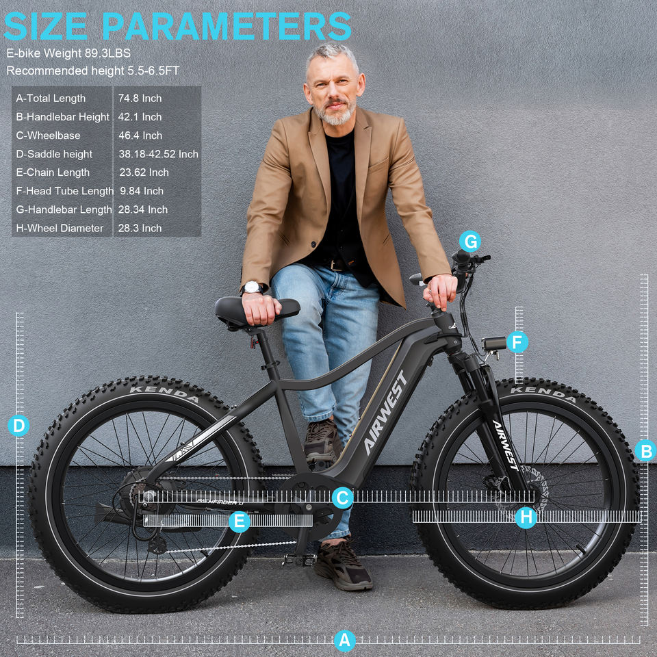 EU & USA Warehouse Stock Electric MTB 750W/1000W with Throttle 48V 15AH Long Range Fat Bike for Adults