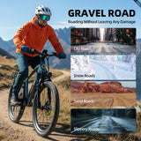 S800 Electric Bike Wholesale & Retail, 250W Brushless Motor, 36V 13Ah Removable Battery, 75km Range, Shimano 7-Speed, Dual Suspension, LCD Display Urban