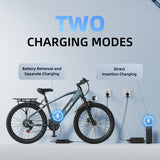 S800 Electric Bike Wholesale & Retail, 250W Brushless Motor, 36V 13Ah Removable Battery, 75km Range, Shimano 7-Speed, Dual Suspension, LCD Display Urban