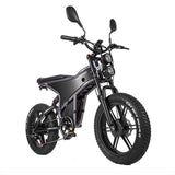 RANDRIDE DM711 20\" Electric Mountain Bike with 2000W 20Ah Dual Motors 60km Range 48v Lithium Battery 20\" Rear View Mirrors