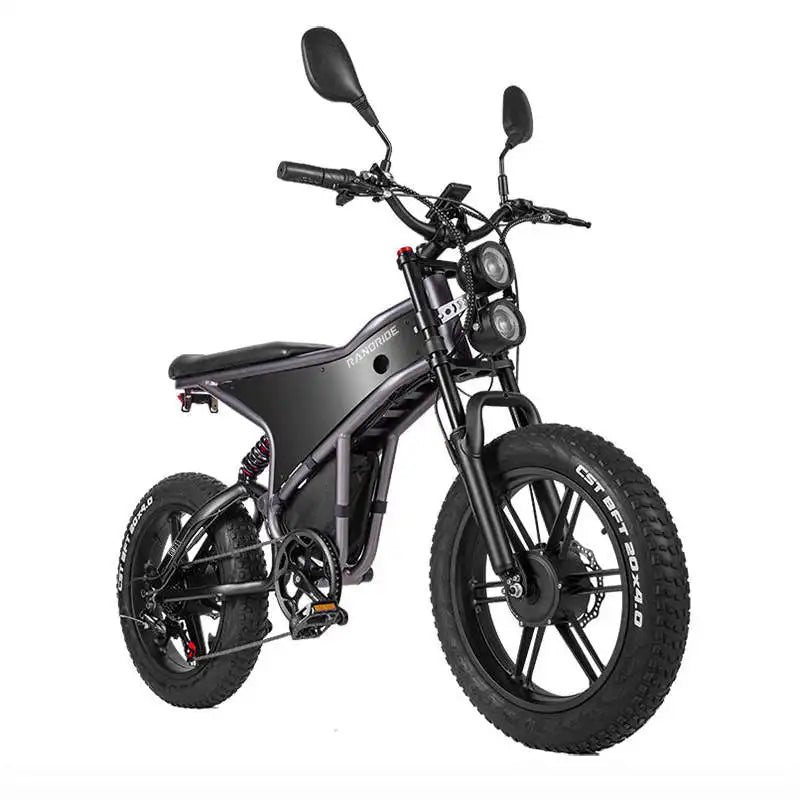 RANDRIDE DM711 20\" Electric Mountain Bike with 2000W 20Ah Dual Motors 60km Range 48v Lithium Battery 20\" Rear View Mirrors