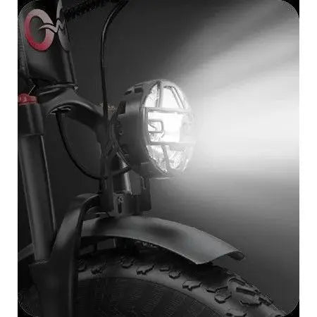 E-Bike Wallke H9 20 Zoll Elektrofahrrad für Erwachsene mit 48V 40Ah 60Ah Akku