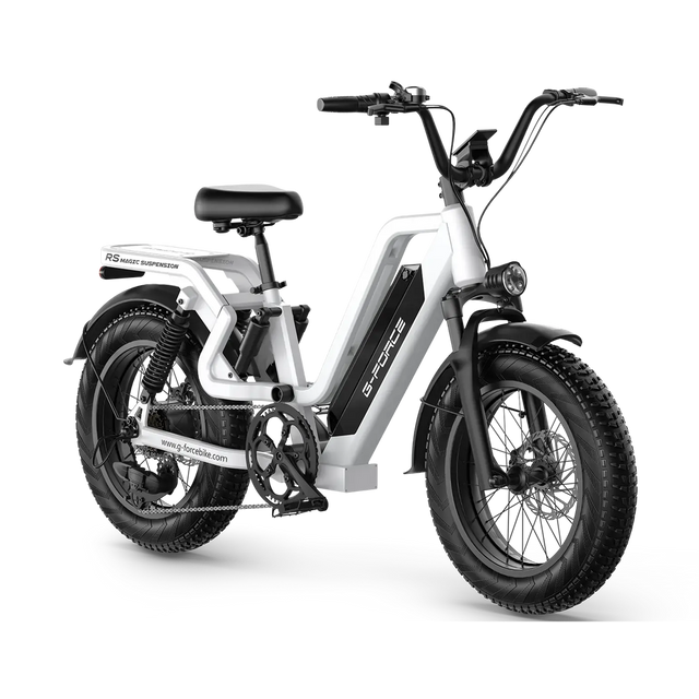 G-Force RS ST Electric Mountain Bike