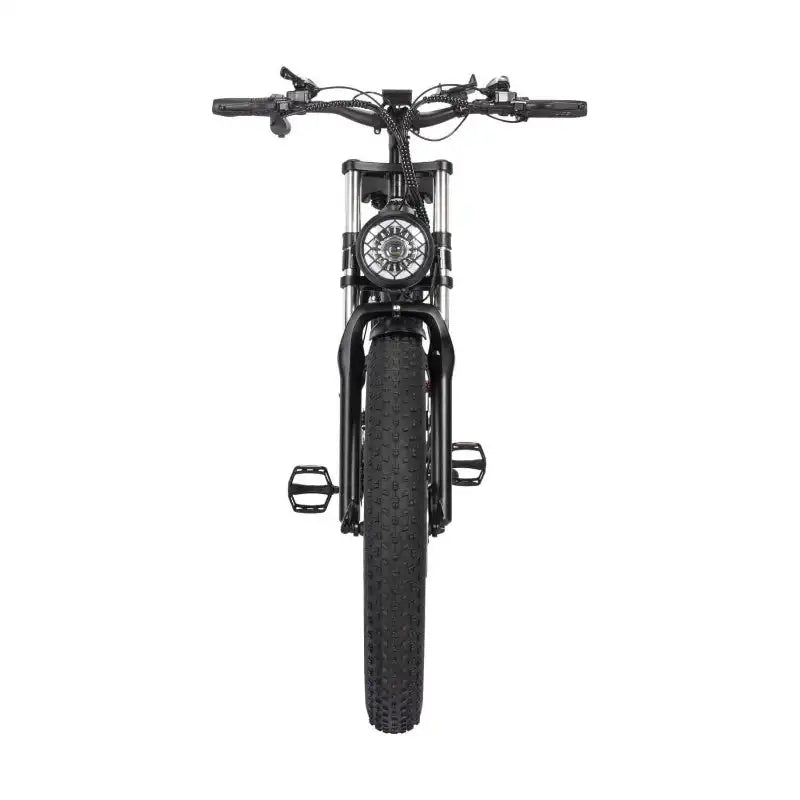 RIDSTAR H26 Pro 26 Fat Tire Electric Foldable Bike with 1000W Motor and 48V 23Ah Lithium Battery Power Supply
