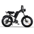 20*4.0 Inch Riding'time Z8 Electric Mountain Bike 48V 15.6A 500W
