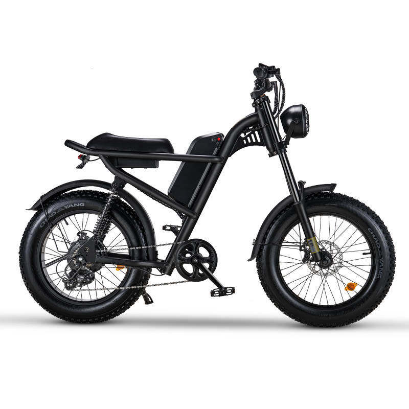 20*4.0 Inch Riding'time Z8 Electric Mountain Bike 48V 15.6A 500W