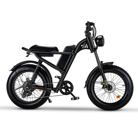 20*4.0 Inch Riding'time Z8 Electric Mountain Bike 48V 15.6A 500W