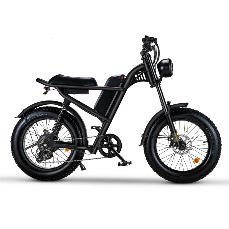 E-Bike RIDING’TIME Z8 20*4.0 inch mountain electric bike 48V 15.6A 500W