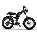 E-Bike RIDING’TIME Z8 20*4.0 inch mountain electric bike 48V 15.6A 500W