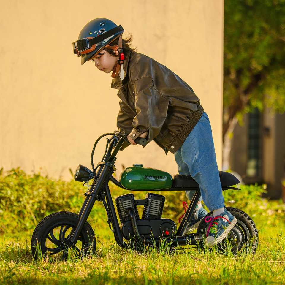 HYPER GOGO Pioneer 12 Premium Electric Motorcycles