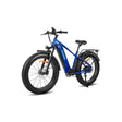 HAOQl All-Terrain 2.0 Electric Cycle Eagle Step over E-Bike with 250W Rear Hub Motor 60km Range Aluminum Carbon Frame Kenda Tire