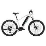 L5 Electric Mountain Bike