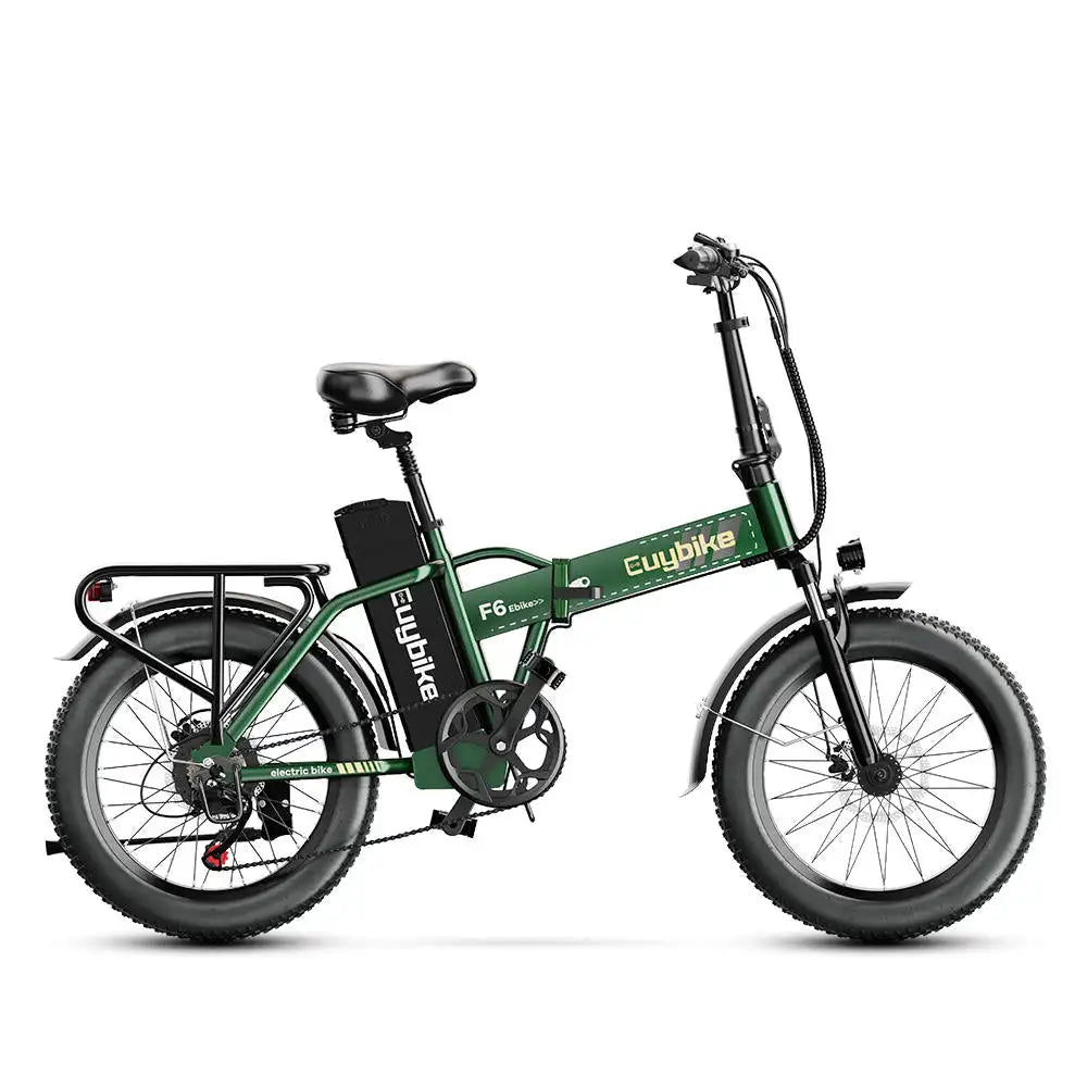 Euy F6 Long Range Electric Mountain Bike with Fat Tire Premium Electric Bike Product