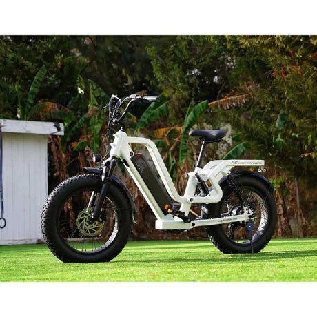 G-Force RS ST Electric Mountain Bike