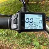 48v 350w Rear-Drive Foldable Cargo E-Trike Top Speed 25km/h 16 Inch Tire Electric Trike with Steel Body Open and Closed Type