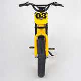 Mangosteen Student Ebike FT03 Best Bicycle College Students Central Rear Hub Motor Integrated Battery 60 km Range Electronic