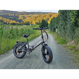 LOTDM200-II 750W Step-through Folding Bike