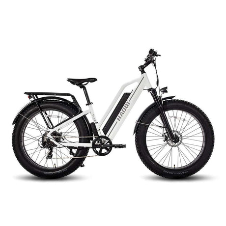 HAOQI for UL Certified White Leopard Pro Step Thru Electric City Bike
