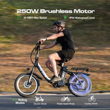 AVDLEU Foldable Electric Bike 20 Off-Road E-Bike with 3.0 Fat Tire 250W Large 14.25Ah/48V Battery SHIMANO 7-Speed