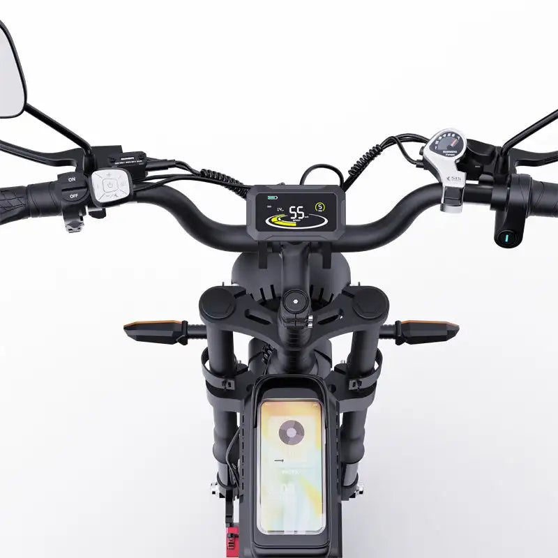 RIDSTAR Q20 Pro 20"*4.0 Fat Tires Electric Mountain Bike 2*1000W Motor 52V 40Ah Dual Battery