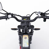 RIDSTAR Q20 Pro 20"*4.0 Fat Tires Electric Mountain Bike 2*1000W Motor 52V 40Ah Dual Battery