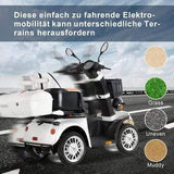 Elektromobil ZVGREEN-DJ(x)-1000-S25 Handicapped Scooter with 3-Gang 1000 W Motor High Mobility Roller