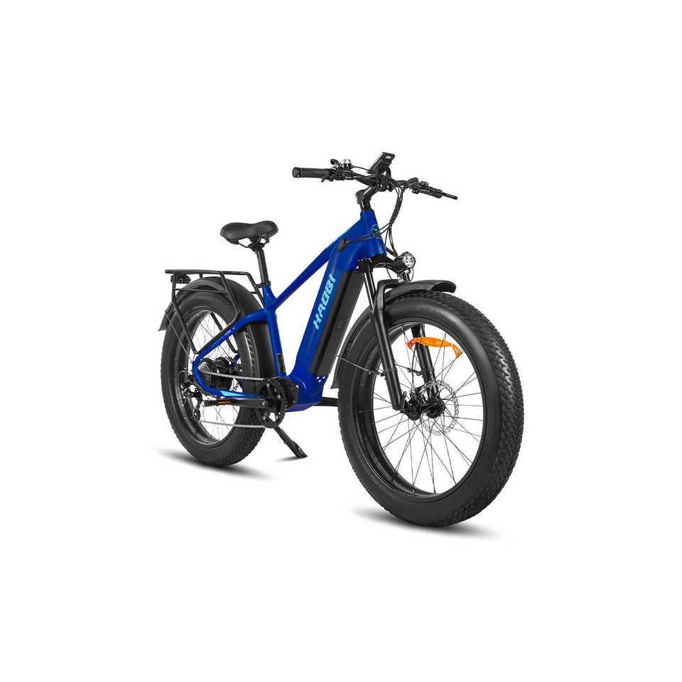 HAOQl All-Terrain 2.0 Electric Cycle Eagle Step over E-Bike with 250W Rear Hub Motor 60km Range Aluminum Carbon Frame Kenda Tire