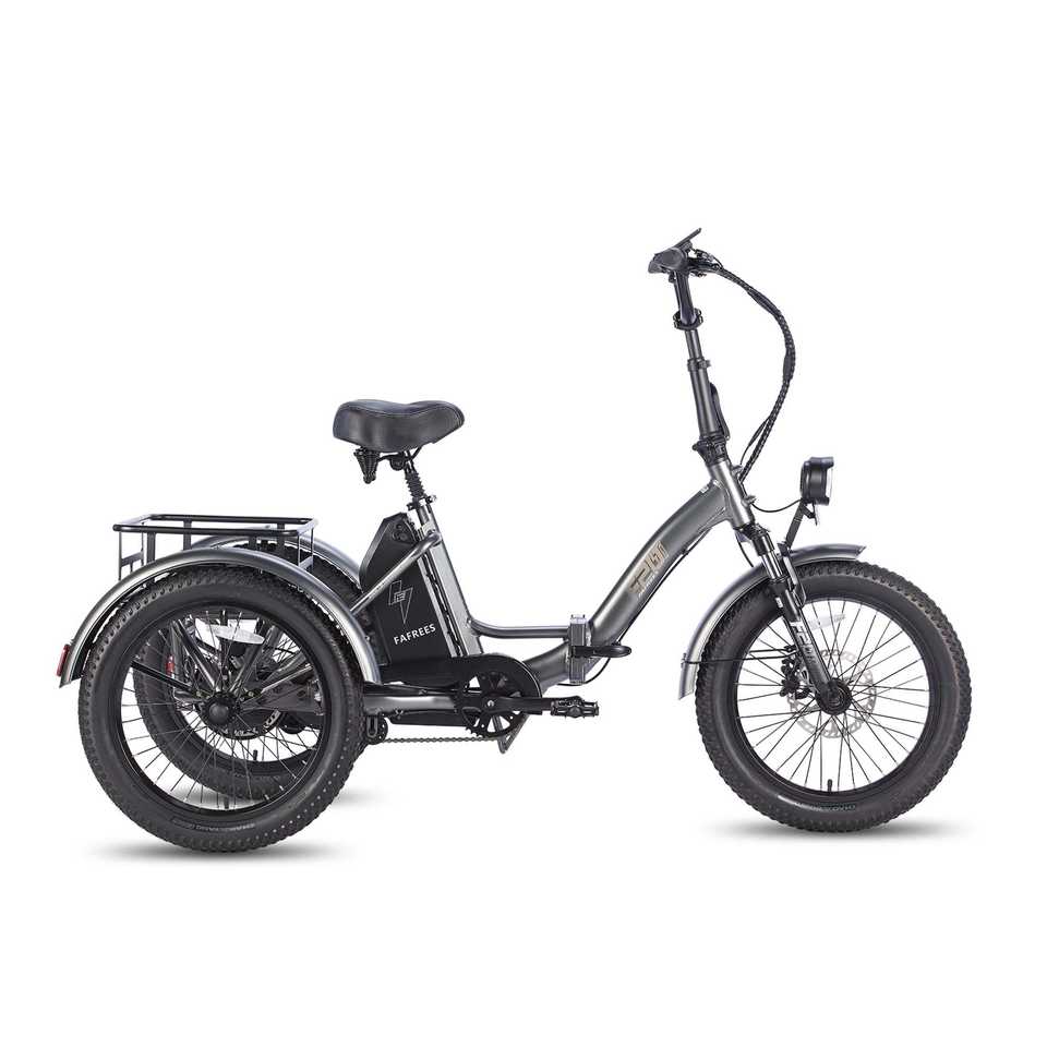 FAFREES F20 Mate 500W Motor Heavy Duty Ebike Electric Cargo Trike 180kg Capacity 110KM Range, Folding Design EU