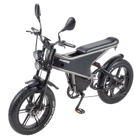 RANDRIDE DM711 Electric Motorcycle Dual Motor Drive 1000W*2 Peak Power for City Commuting