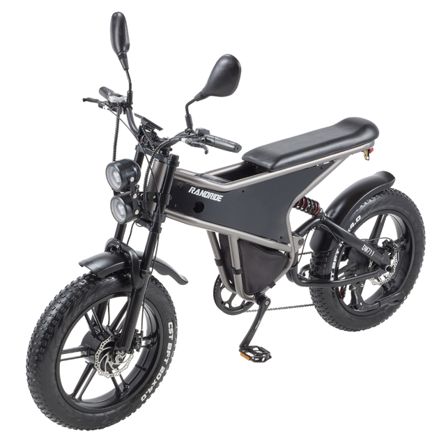 RANDRIDE DM711 Electric Motorcycle Dual Motor Drive 1000W*2 Peak Power for City Commuting