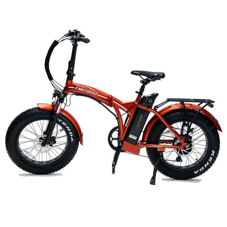 Teledo 250W Elektrofahrräd 20 * 4.0” Tires E-fahrräd Ebike 36V 13Ah 25km/h